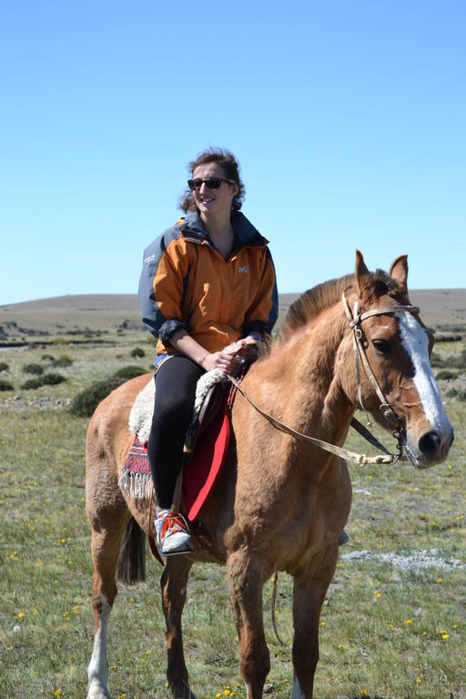 Camping Y Hostal El Ovejero El Calafate Eksteriør bilde